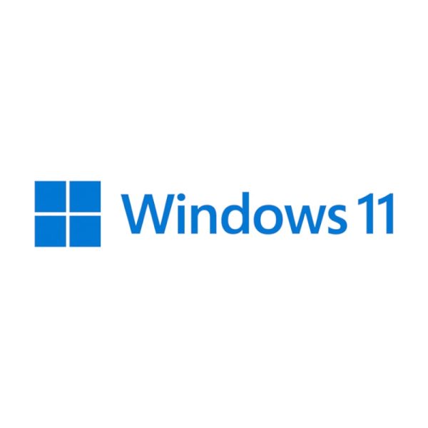 Microsoft Windows 11 Pro DSP